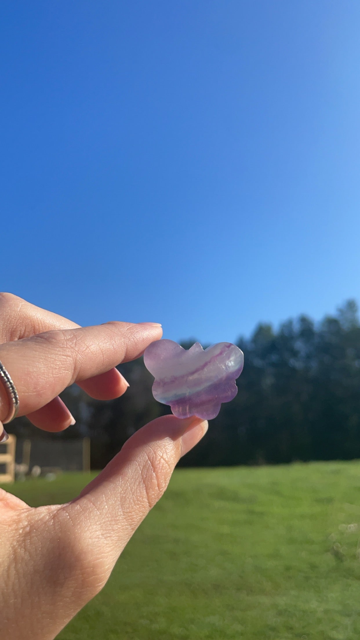 Mini Fluorite Butterfly Carving 🦋