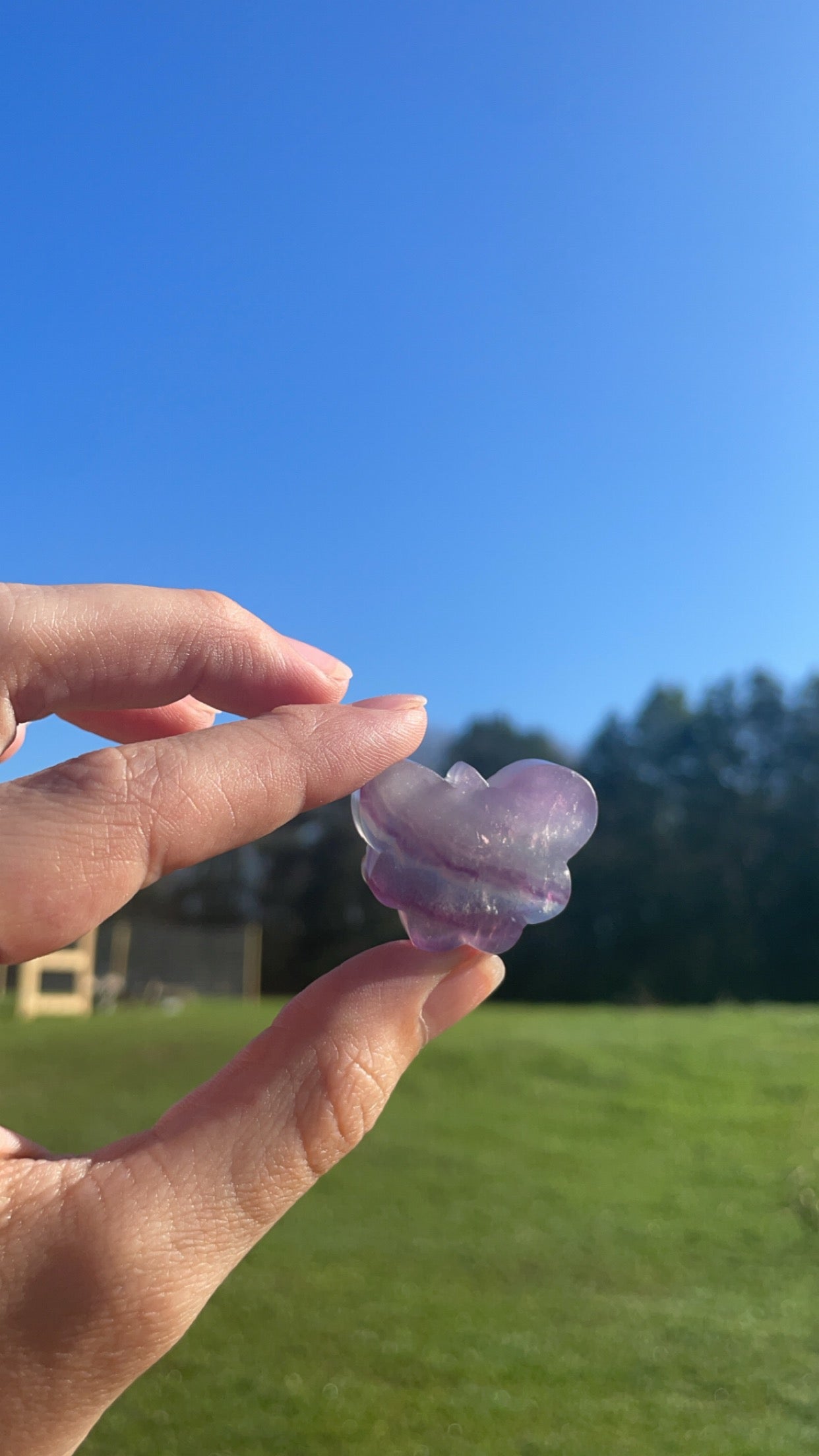 Mini Fluorite Butterfly Carving 🦋