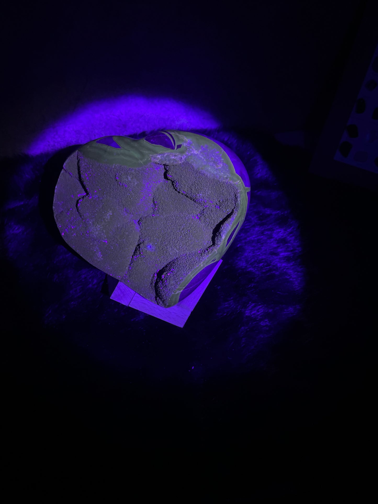 UV Reactive Large Druzy Septarian Heart Carving (Dragon Stone)