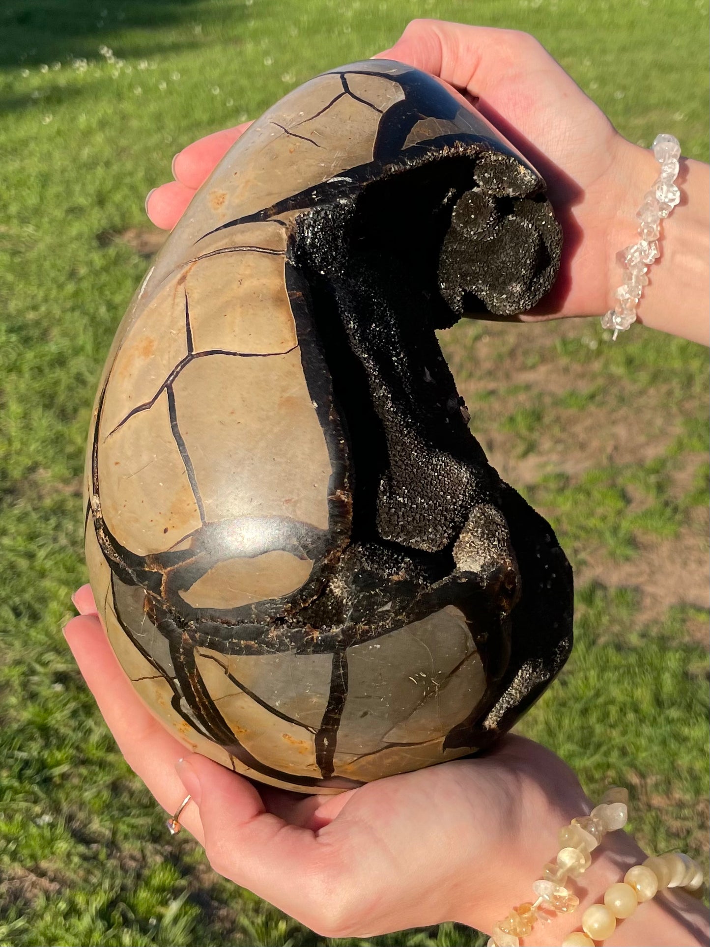 XXL Druzy Septarian 11lb (Large Dragon Egg)