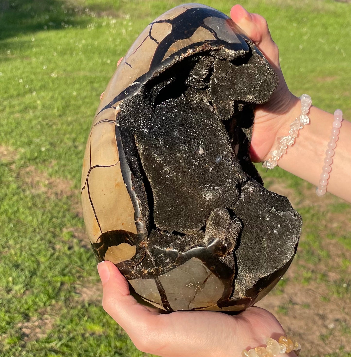 XXL Druzy Septarian 11lb (Large Dragon Egg)