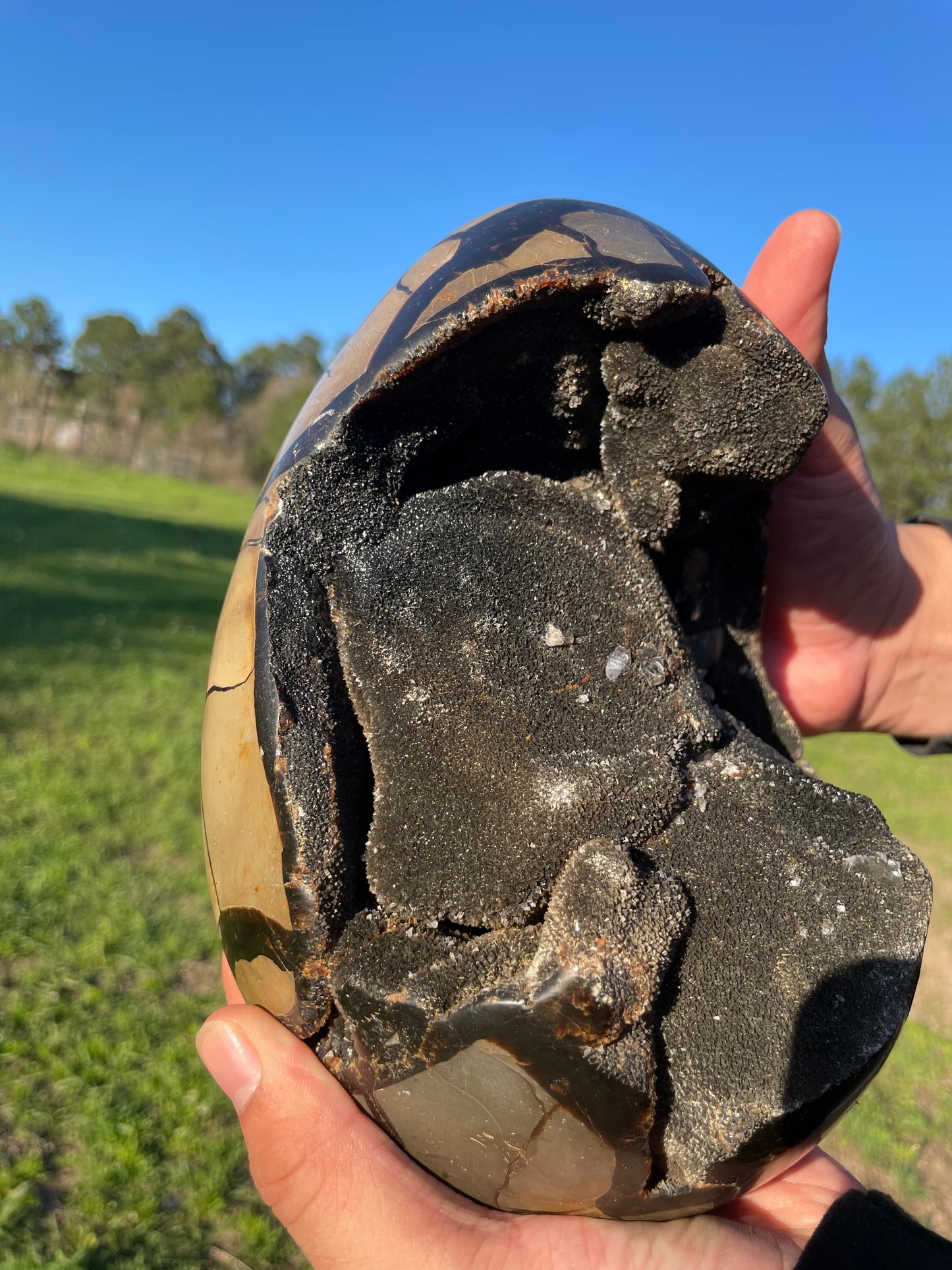 XXL Druzy Septarian 11lb (Large Dragon Egg)