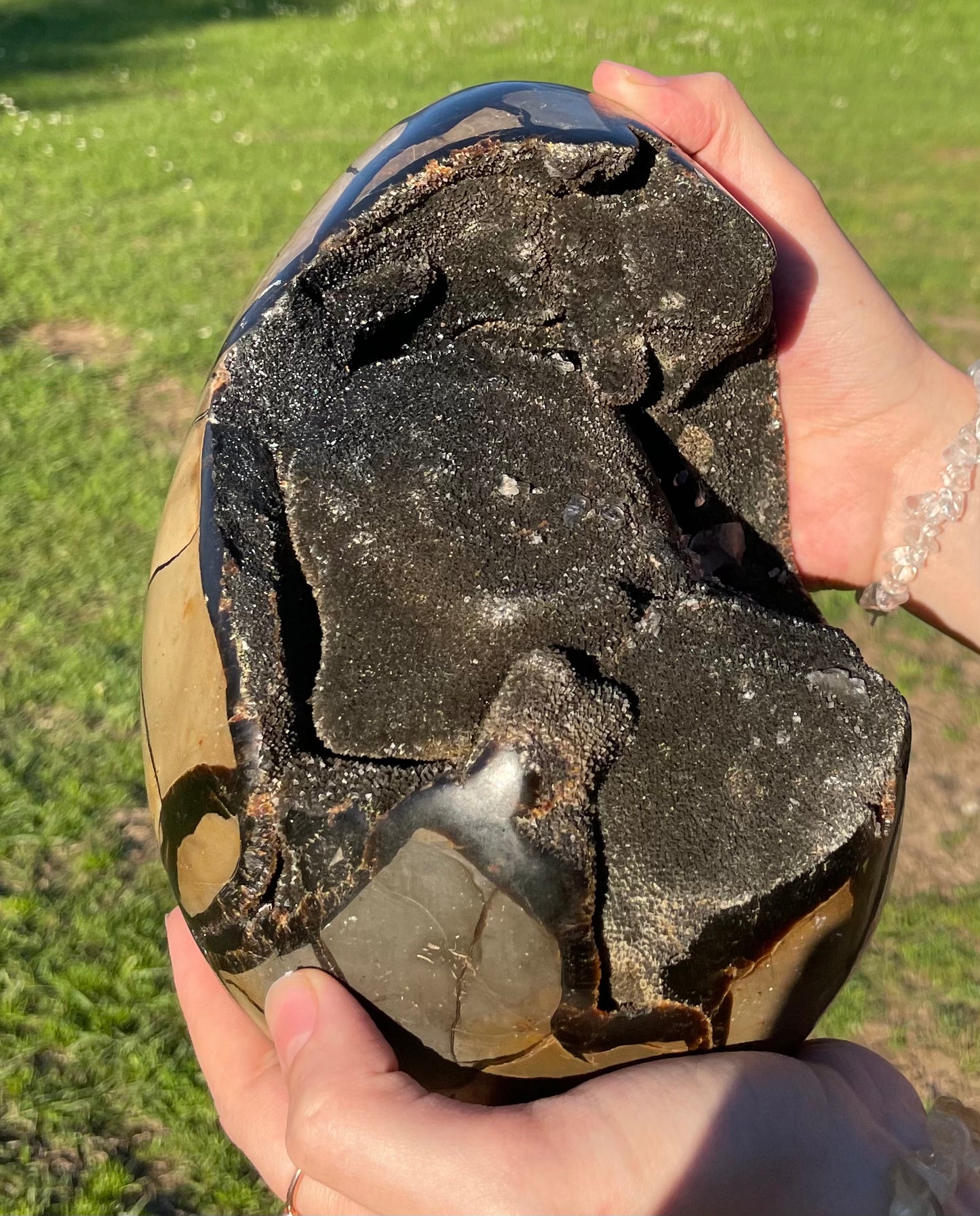 XXL Druzy Septarian 11lb (Large Dragon Egg)