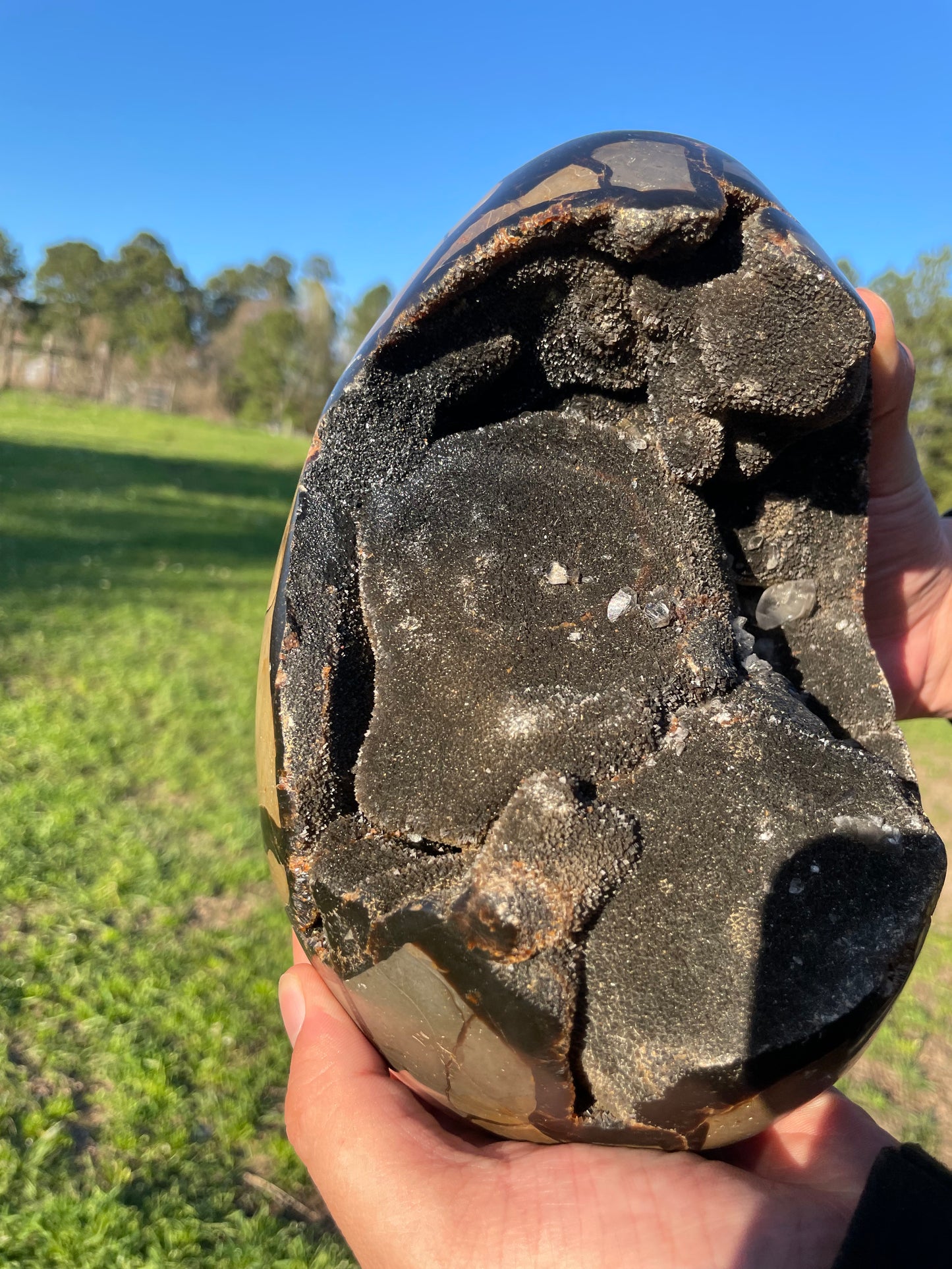 XXL Druzy Septarian 11lb (Large Dragon Egg)