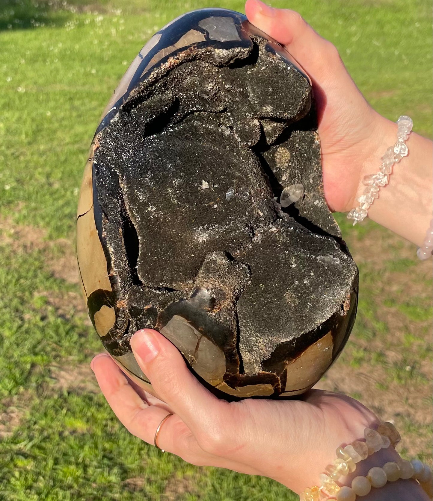 XXL Druzy Septarian 11lb (Large Dragon Egg)