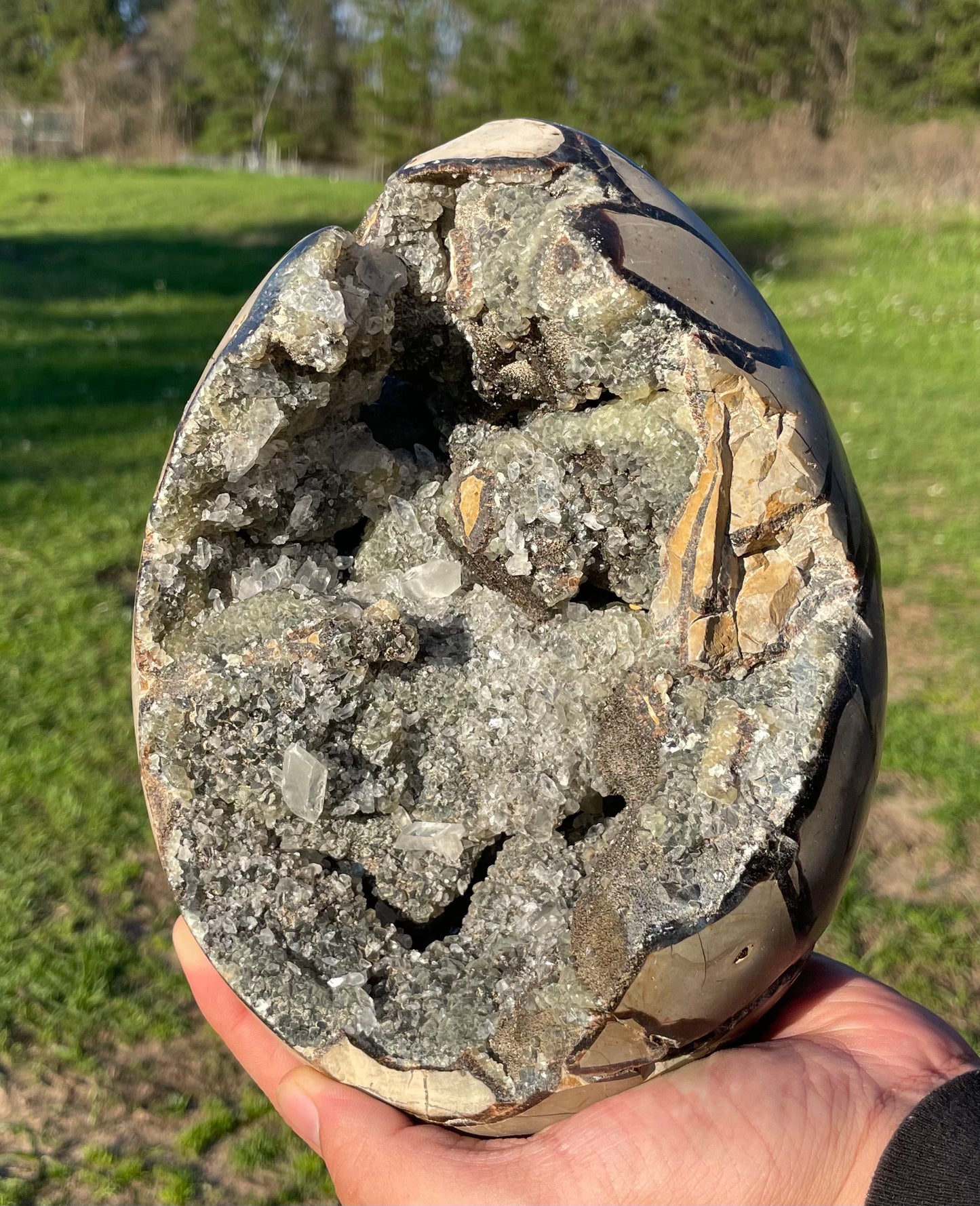 UV Reactive XXL Druzy Septarian damaged (Large Dragon Egg) w/ Stand.