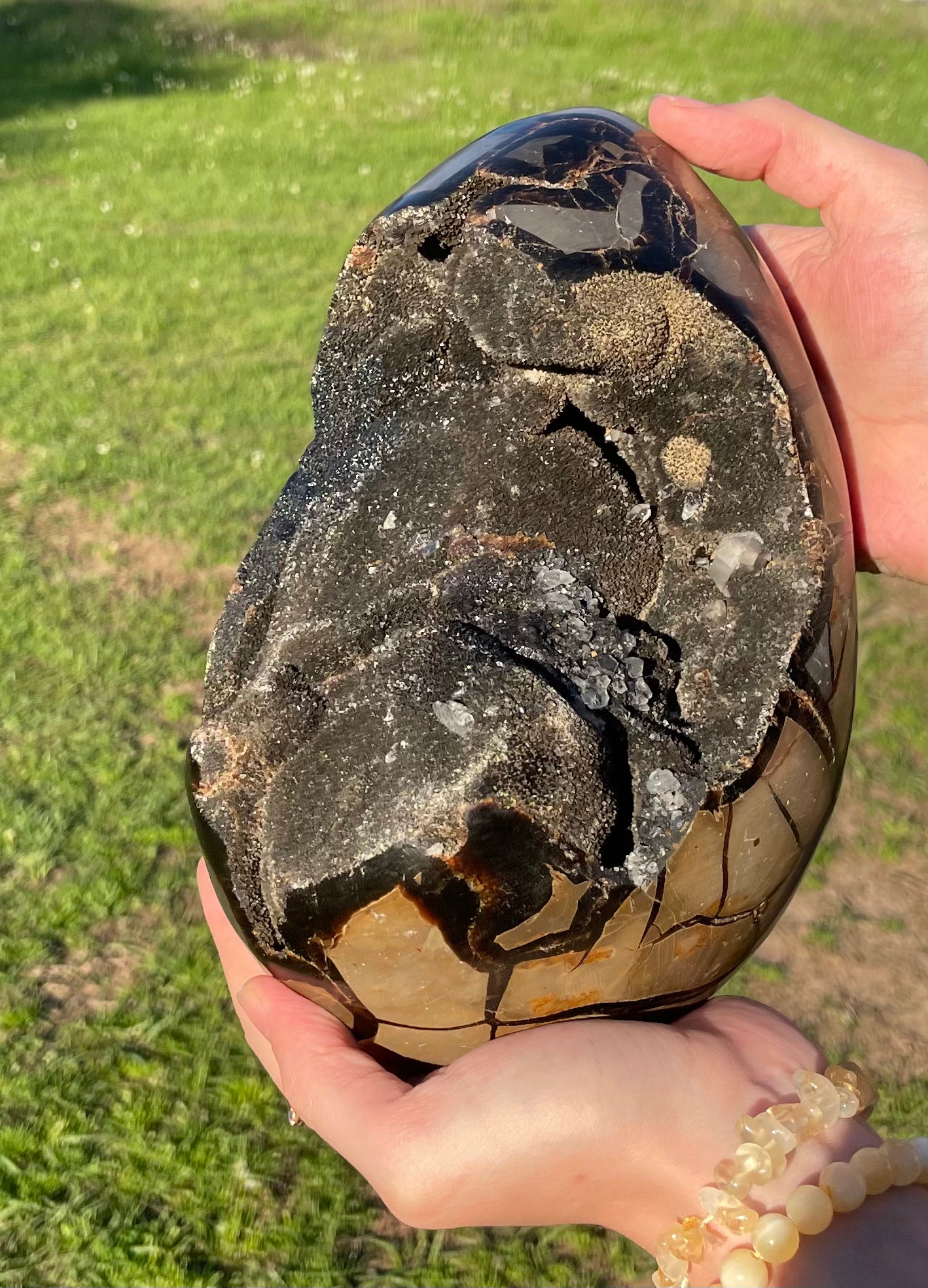 XXL Druzy Septarian 11lb (Large Dragon Egg)