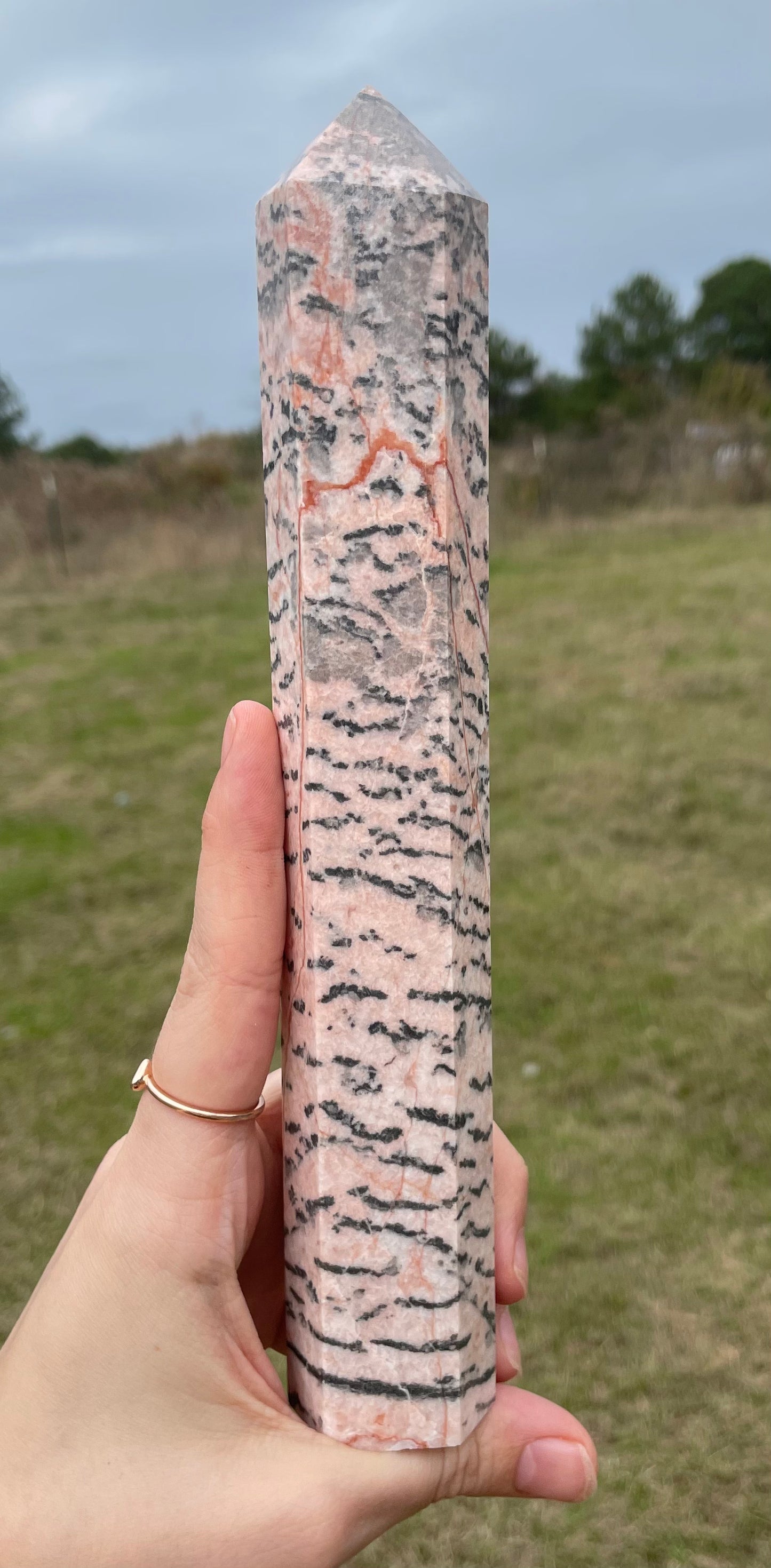 Pink Zebra (Jasper) Tower