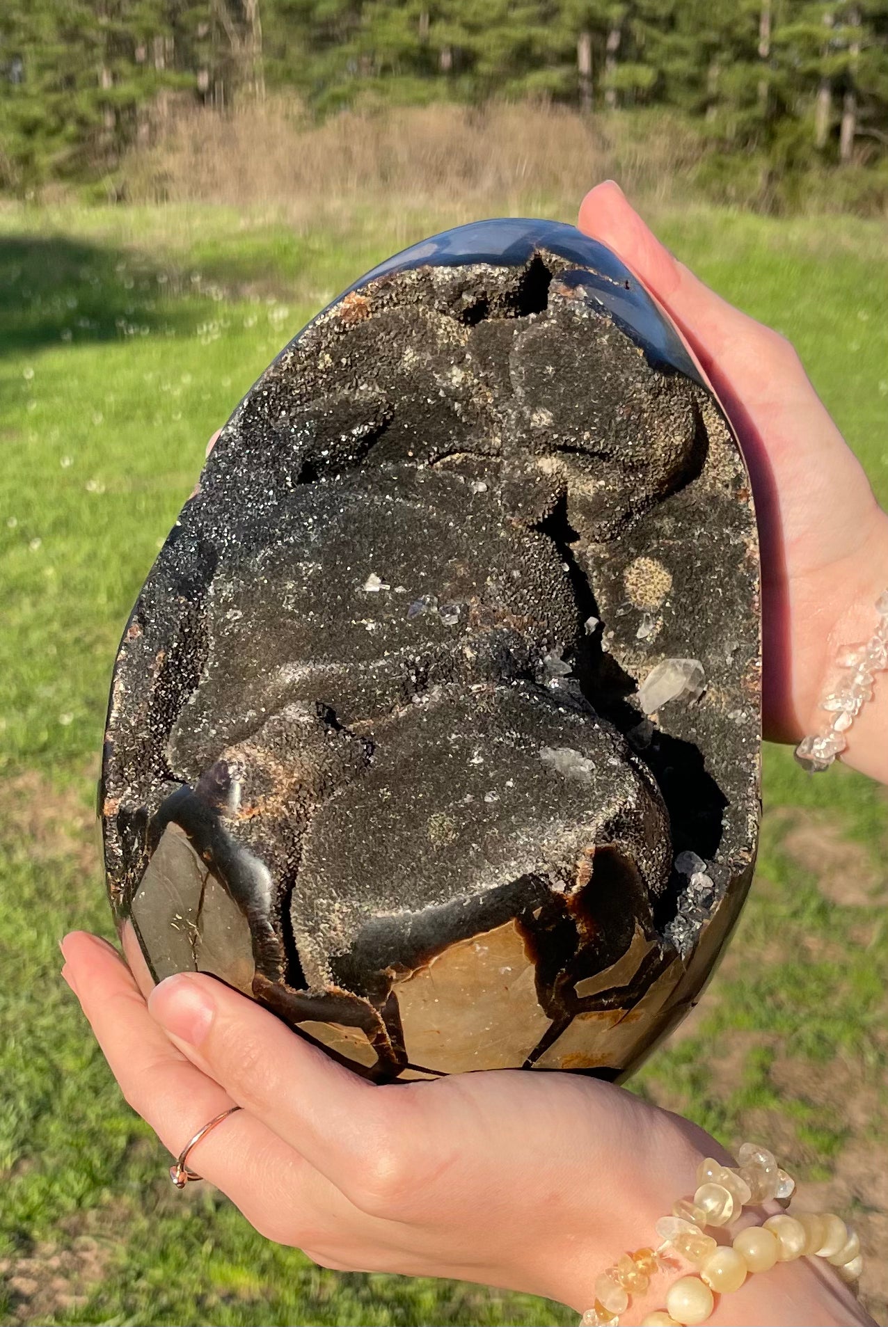 XXL Druzy Septarian 11lb (Large Dragon Egg)