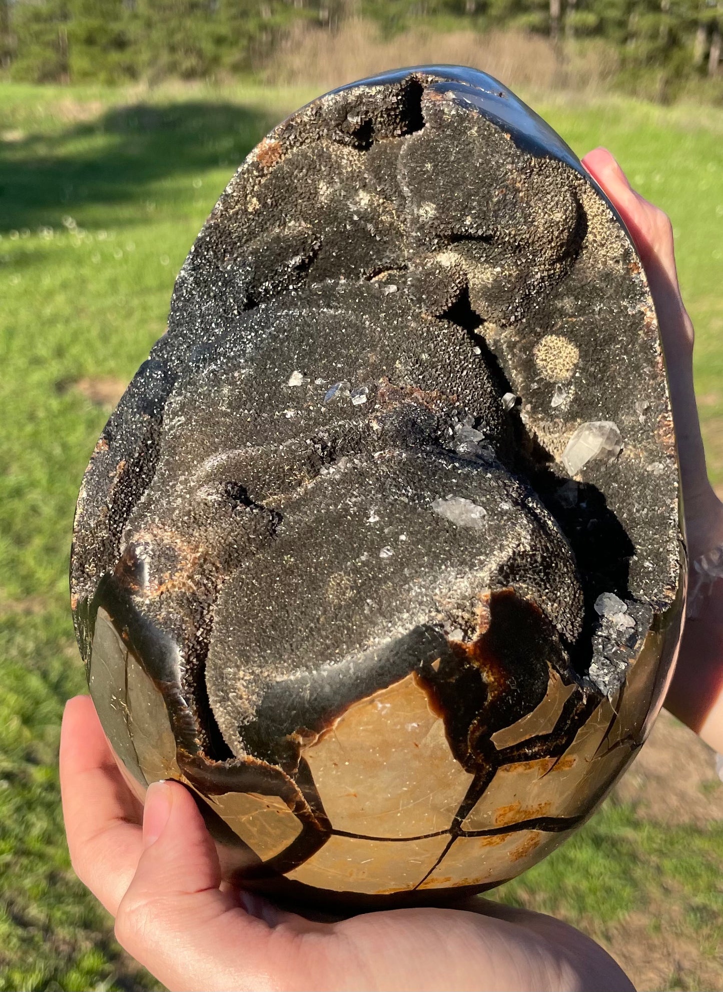 XXL Druzy Septarian 11lb (Large Dragon Egg)