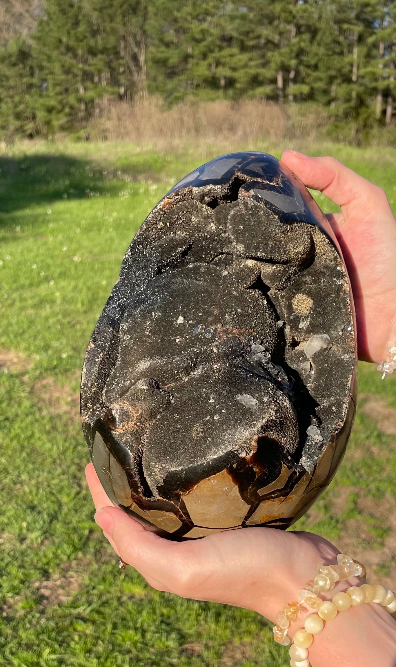 XXL Druzy Septarian 11lb (Large Dragon Egg)