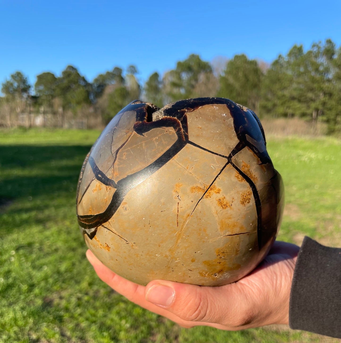 XXL Druzy Septarian 11lb (Large Dragon Egg)