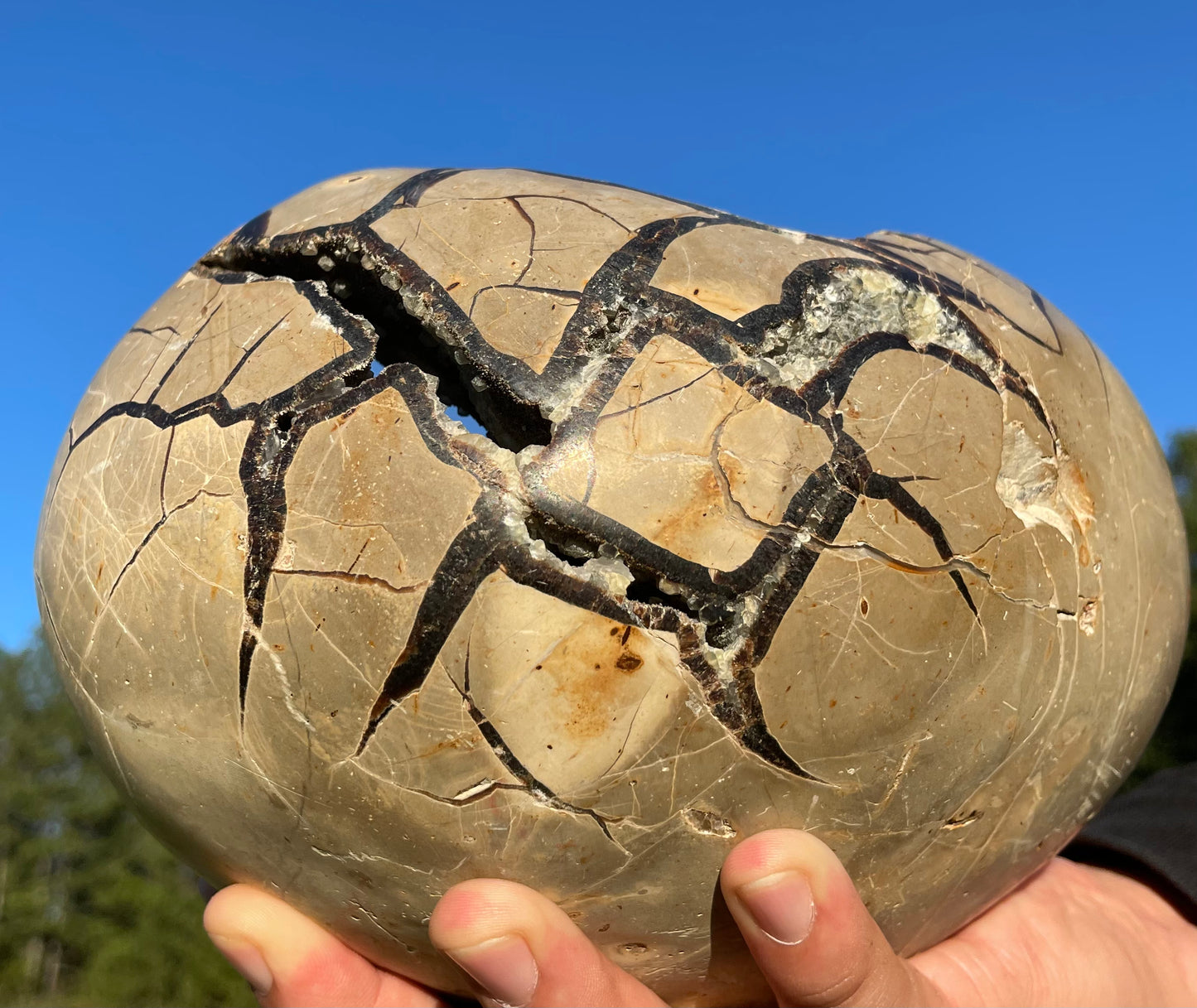 UV Reactive XXL Druzy Septarian damaged (Large Dragon Egg) w/ Stand.