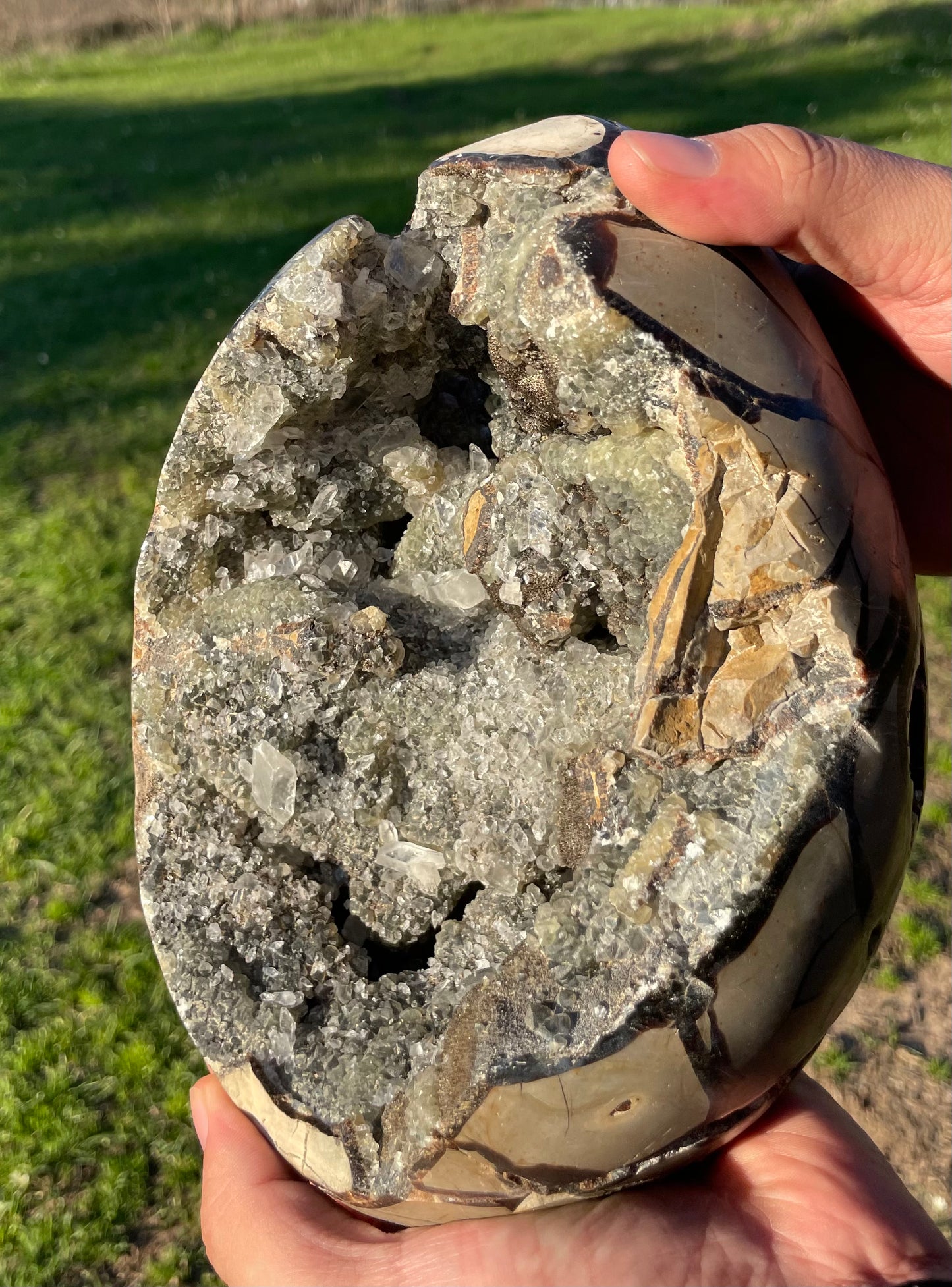 UV Reactive XXL Druzy Septarian damaged (Large Dragon Egg) w/ Stand.