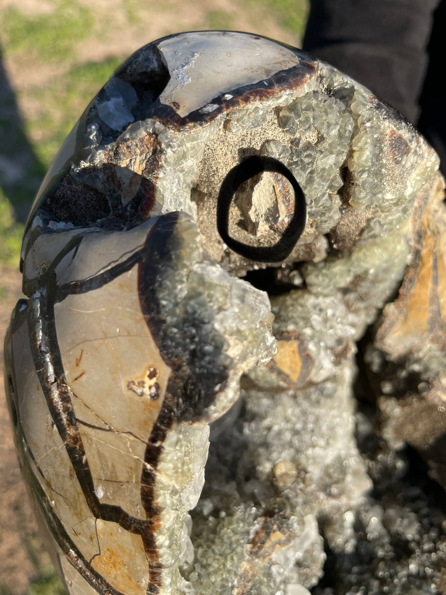 UV Reactive XXL Druzy Septarian damaged (Large Dragon Egg) w/ Stand.