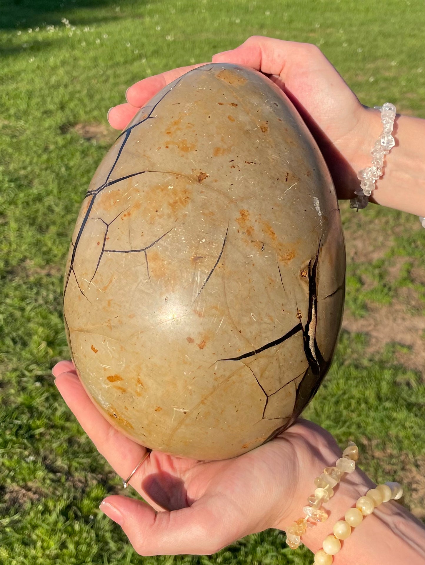 XXL Druzy Septarian 11lb (Large Dragon Egg)