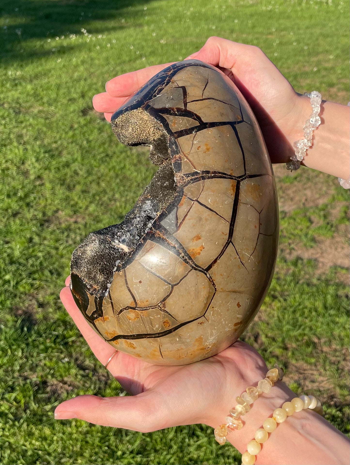 XXL Druzy Septarian 11lb (Large Dragon Egg)