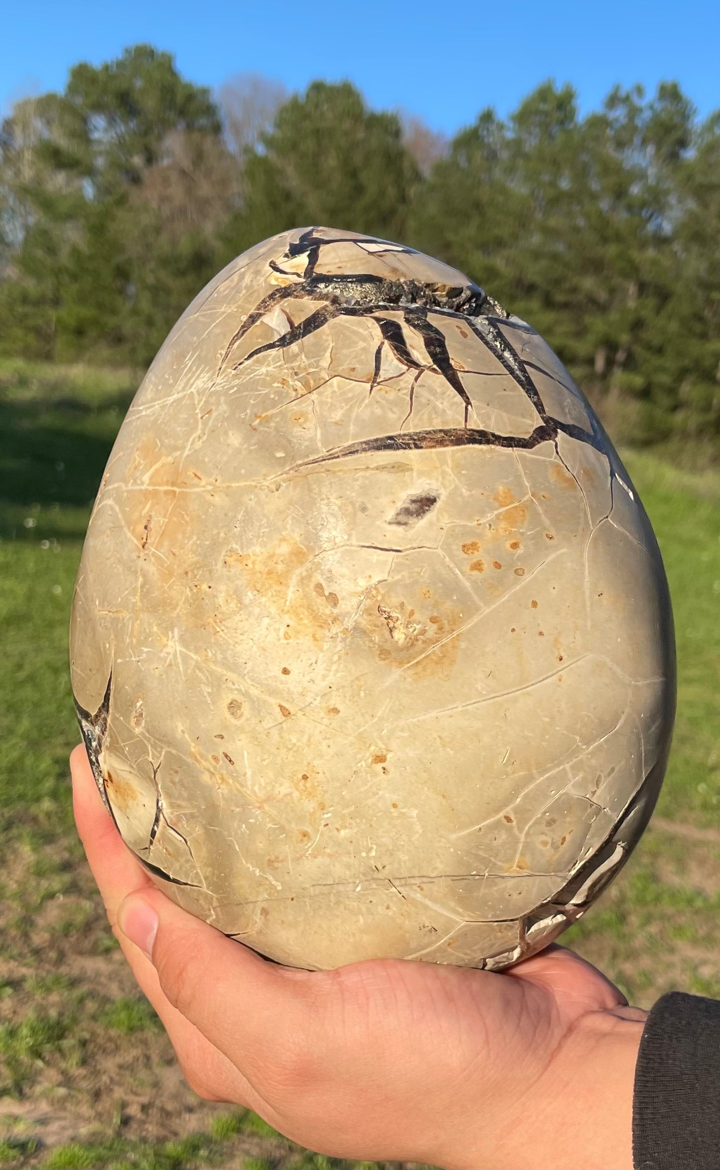 UV Reactive XXL Druzy Septarian damaged (Large Dragon Egg) w/ Stand.